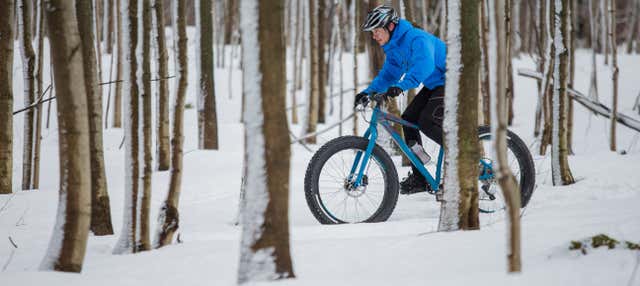 Tour dei boschi di Ivalo in fat bike