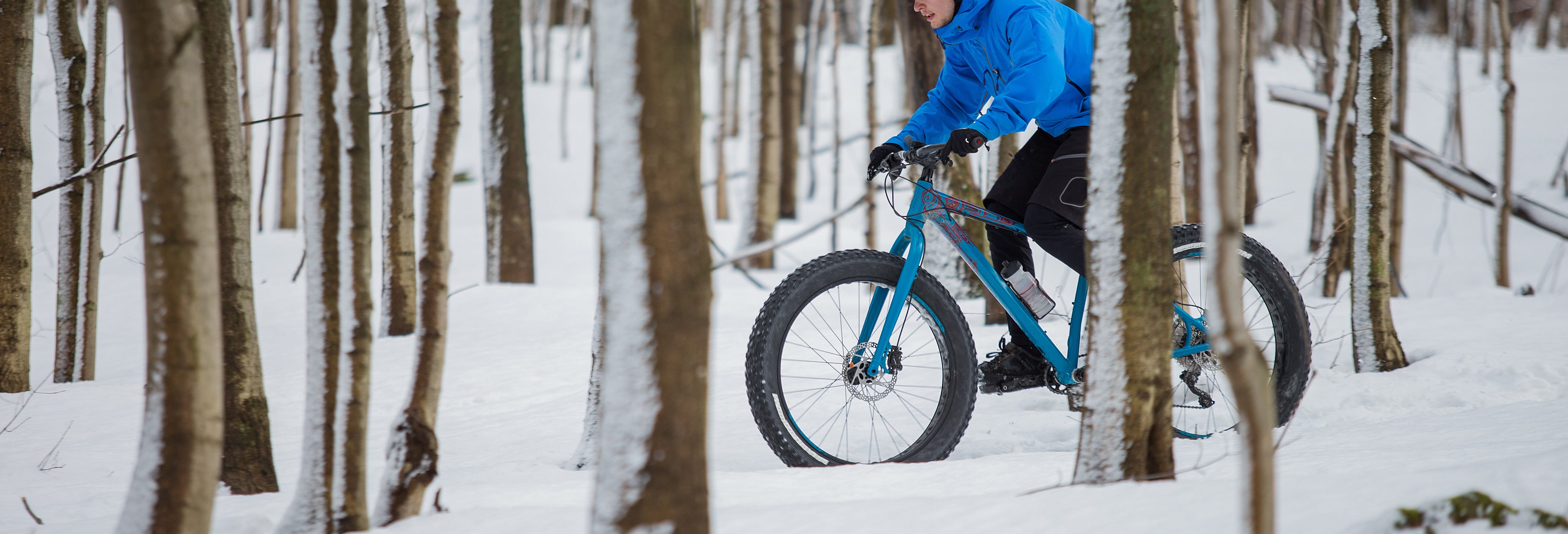 Ivalo Forest Fat Bike Tour