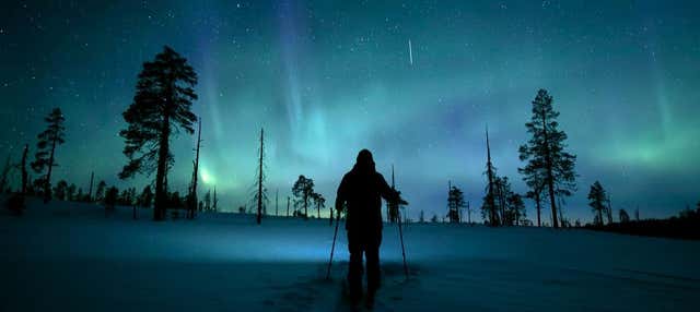 Tour dell'aurora boreale con le racchette da neve