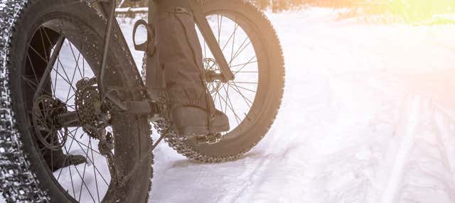 Noleggio fat bike a Kuusa