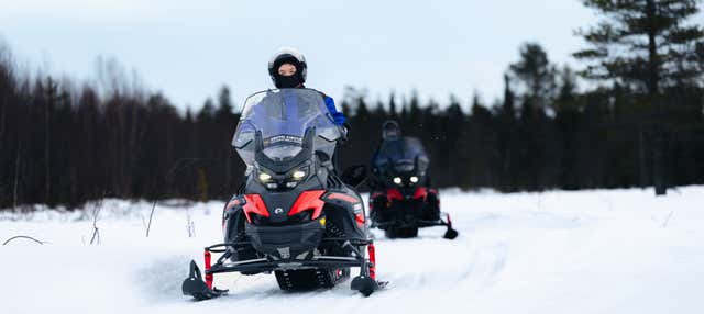 Aventura en moto de nieve + Paseo en trineo de renos y huskies