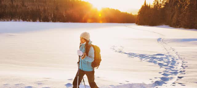 Paseo con raquetas de nieve por Levi