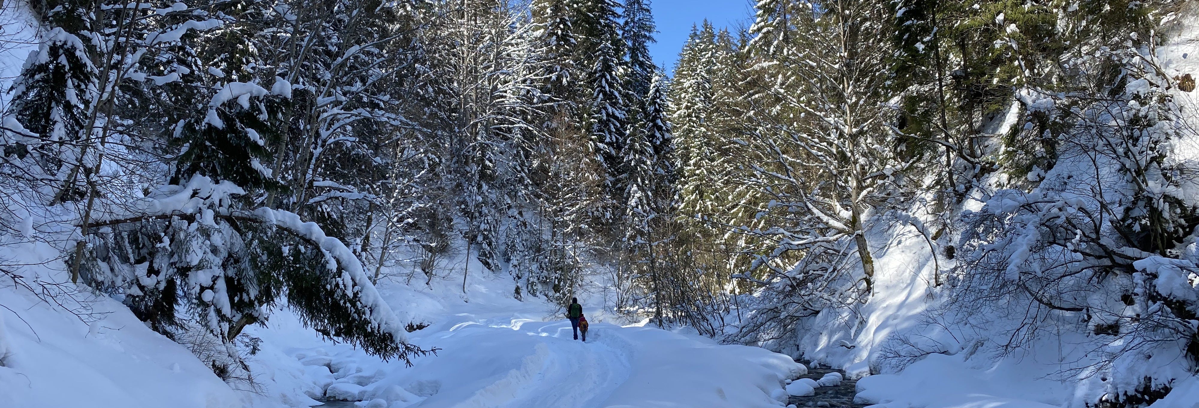 Pallas-Yllästunturi National Park Snowshoe Tour