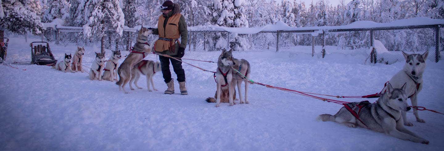 Paseo en trineo de perros husky por Levi