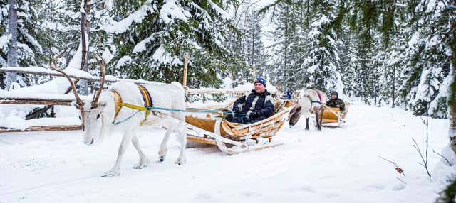Giro in slitta trainata da renne con fotografo professionista