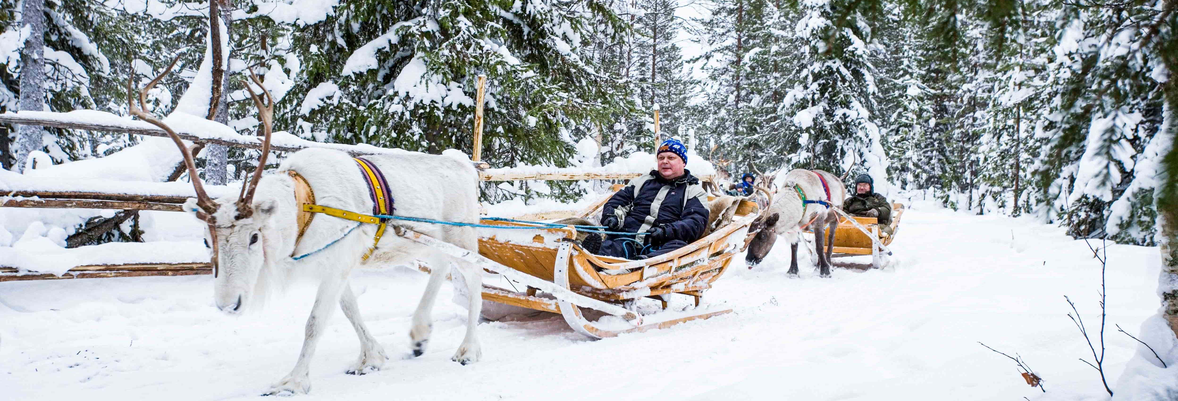 Giro in slitta trainata da renne con fotografo professionista