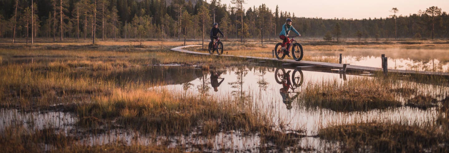 Pyhä-Luosto National Park Electric Bike Tour