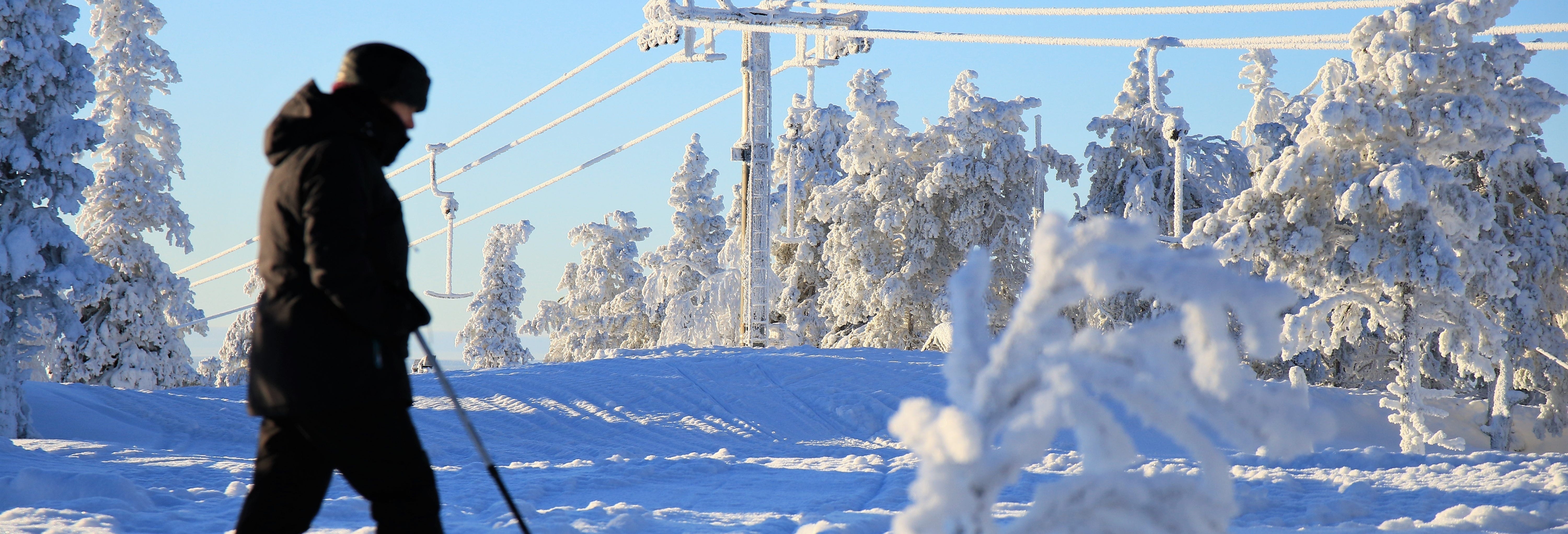 Cross-Country Skiing