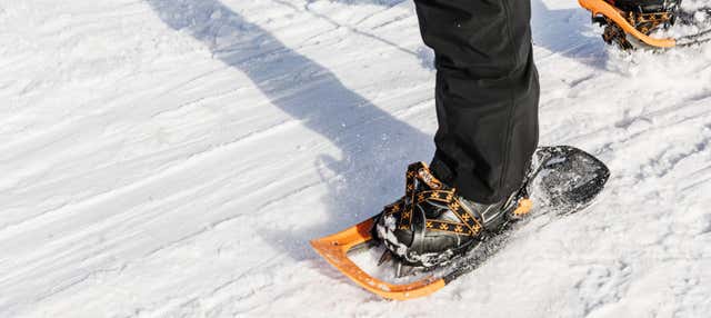 Passeggiata con racchette da neve