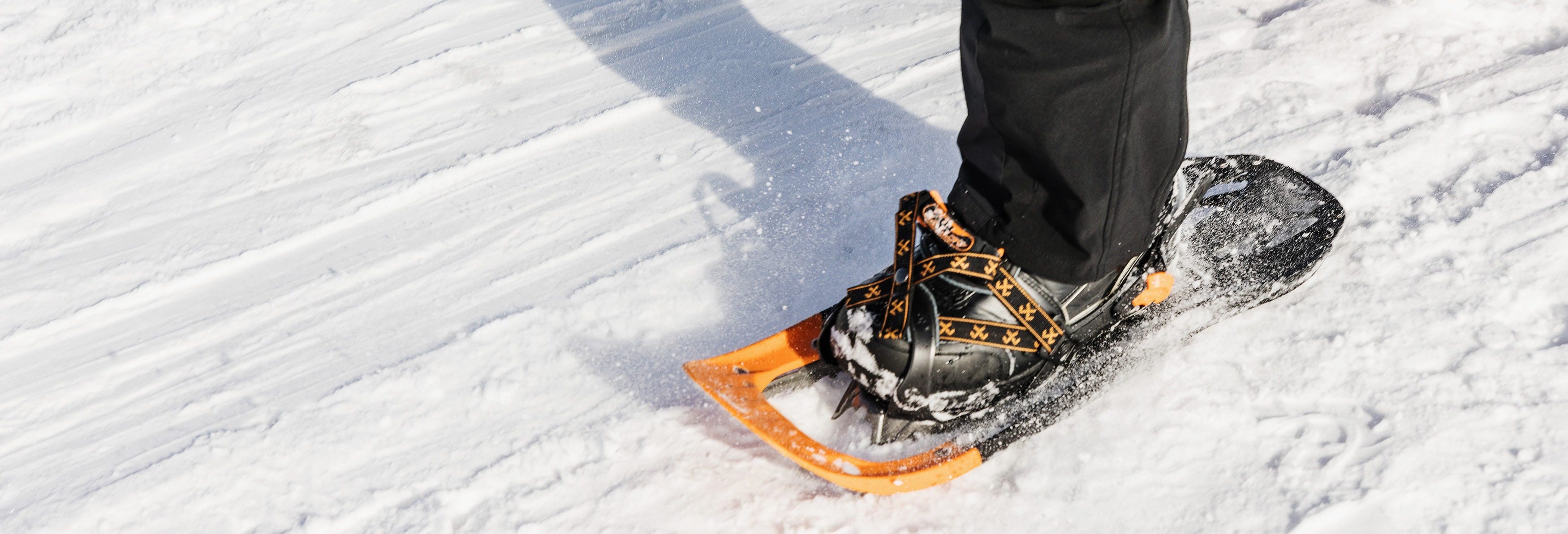 Luosto Snowshoe Hike