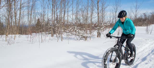 Tour del Parco Nazionale Pyhä-Luosto in bici elettrica