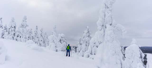 Corso di alpinismo al Parco Nazionale Pyhä-Luosto