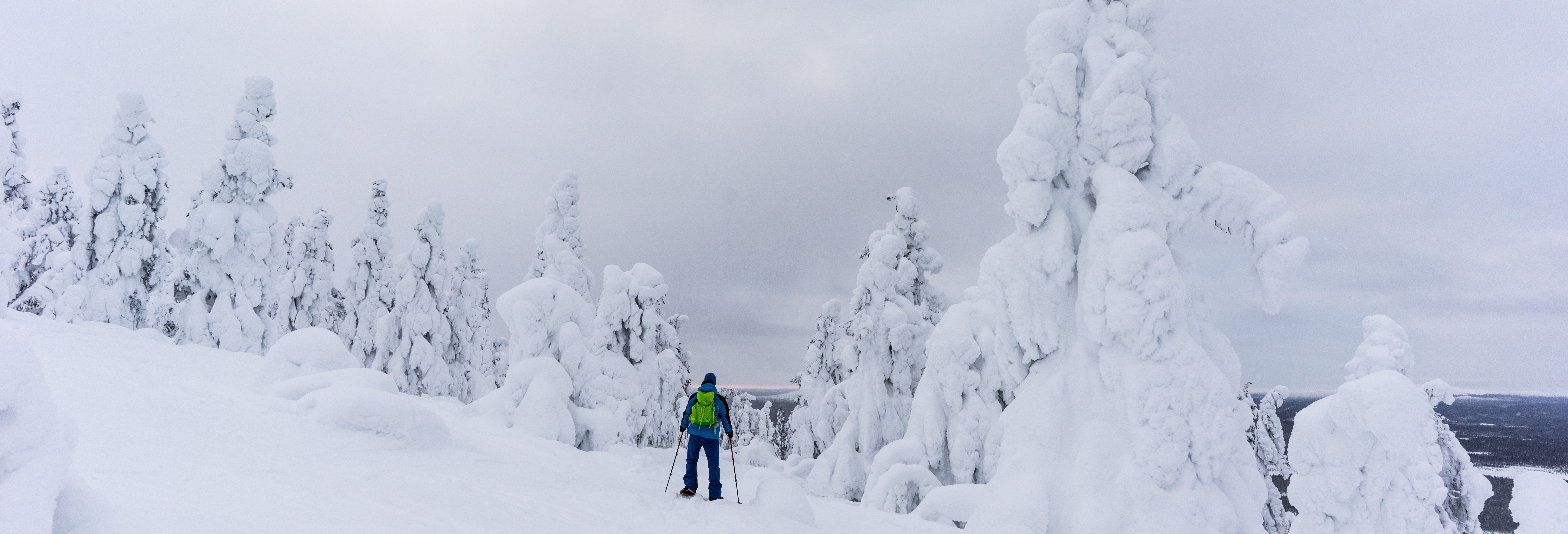 Mountaineering Course in Pyha-Luosto National Park