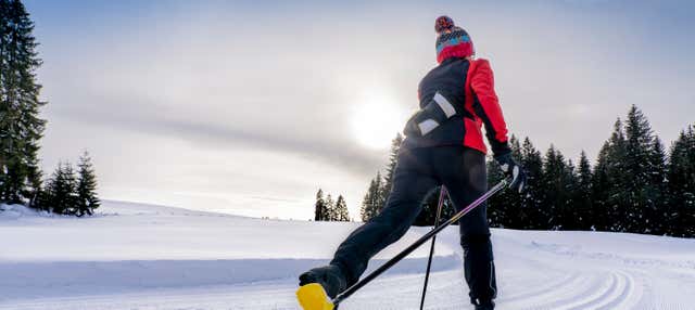 Sci di fondo nel Parco Nazionale Pyhä-Luosto