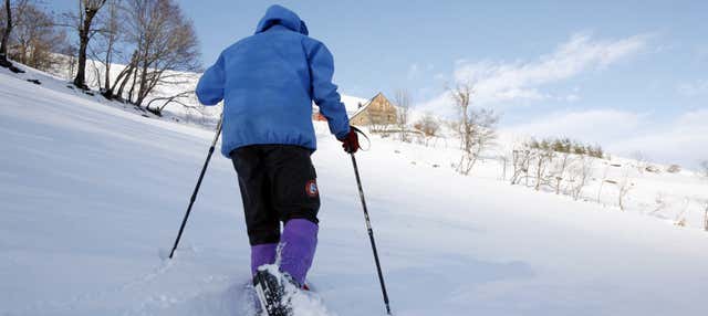 Tour con racchette da neve al Parco Nazionale Pyhä-Luosto