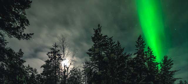 Tour fotografico dell'aurora boreale