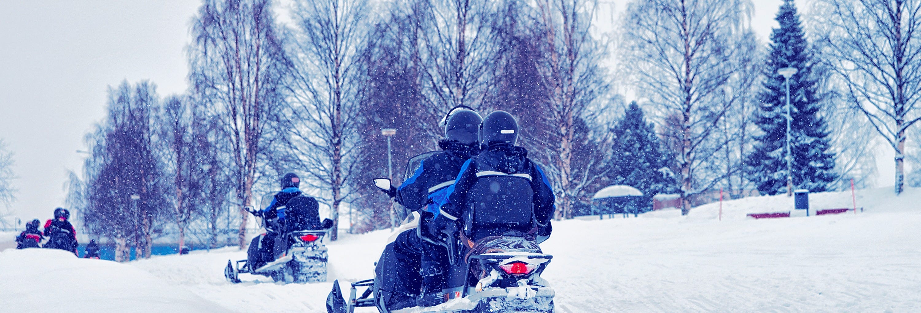 Snowmobile Safari