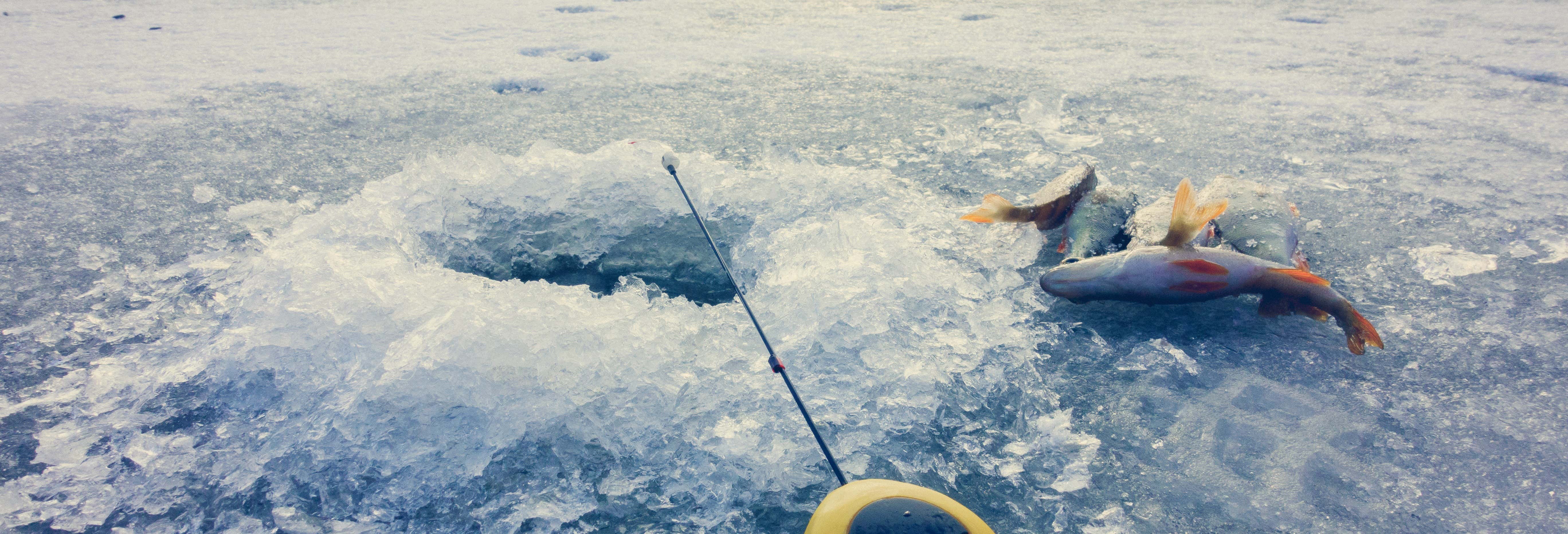 Passeggiata con racchette da neve + Pesca sul ghiaccio