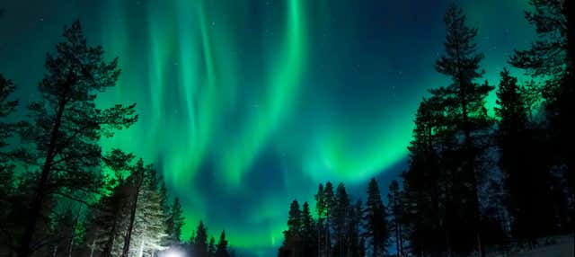 Giro in slitta trainata dagli husky sotto l'aurora boreale