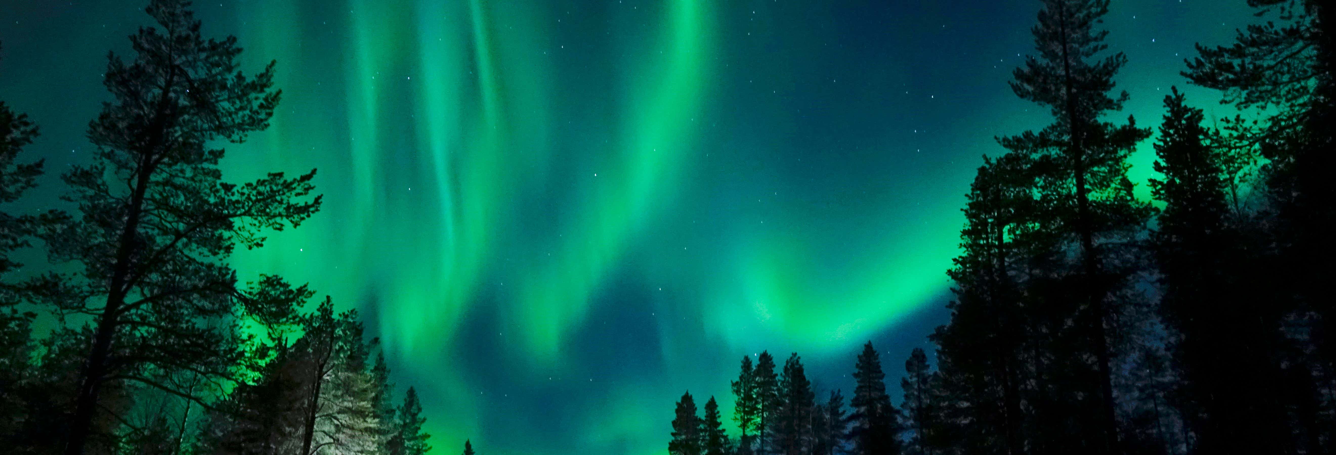 Giro in slitta trainata dagli husky sotto l'aurora boreale