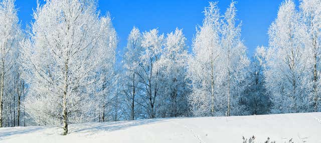 Trekking nel Parco Nazionale di Riisitunturi