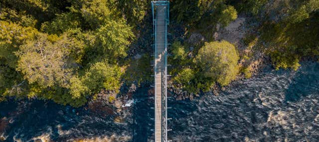 Trekking a Vikaköngäs