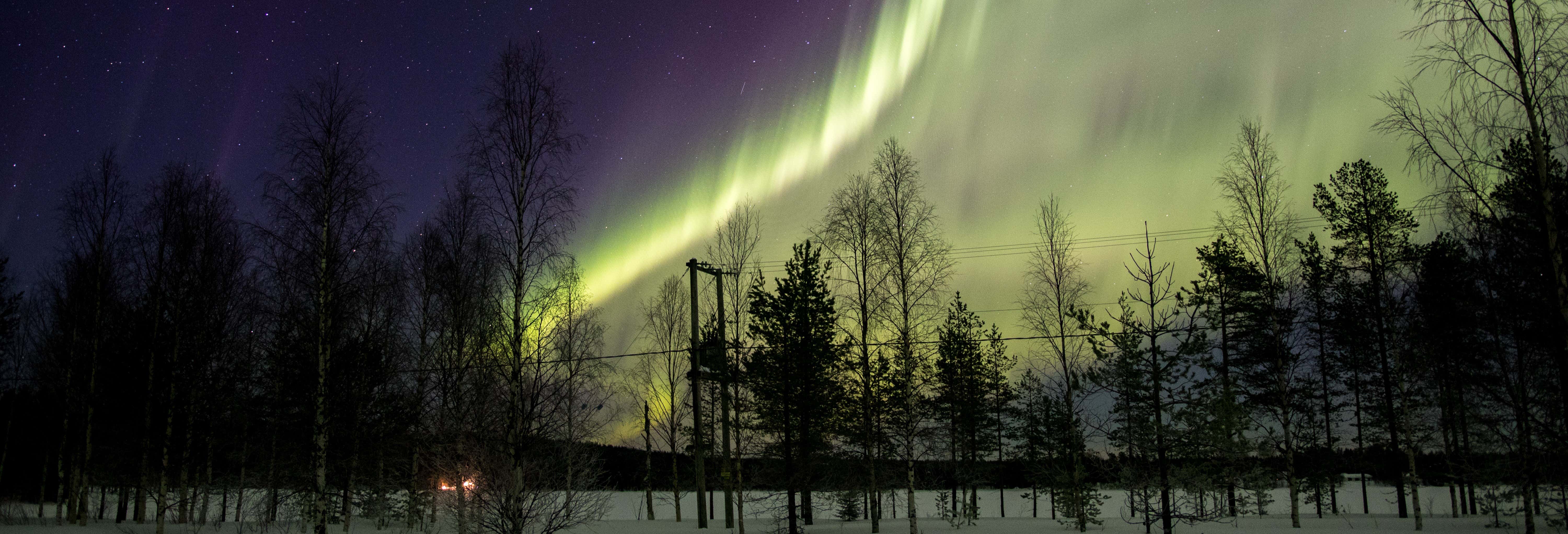 Finnish Sauna, Ice Swimming + Dinner