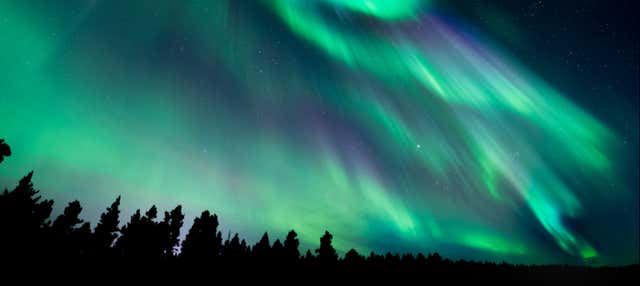 Tour VIP dell'aurora boreale