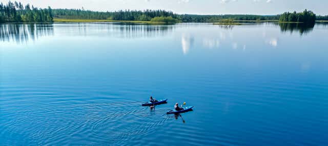 Tour en kayak por un lago de los bosques de Rovaniemi