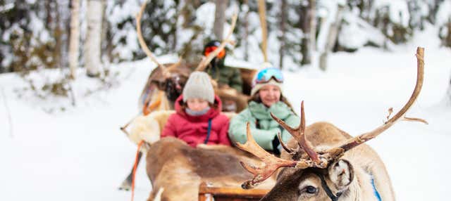 Visita a un allevamento di renne