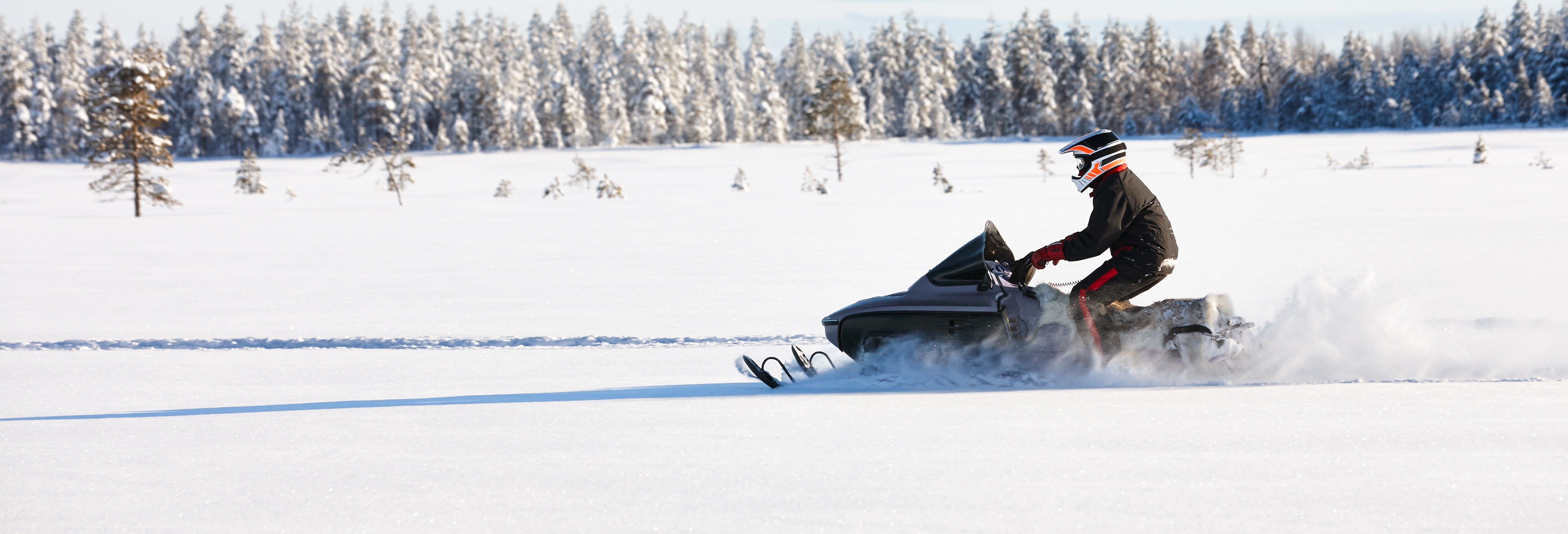 Saariselkä Snowmobile Tour