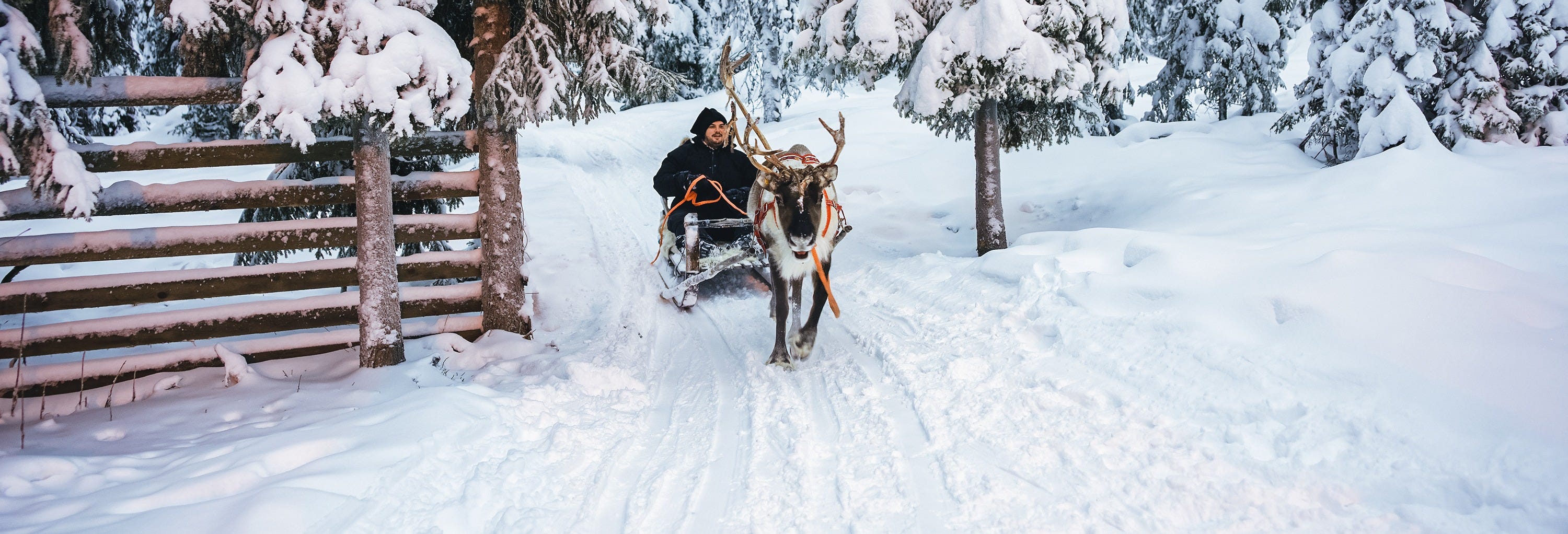 Reindeer Sleigh Ride