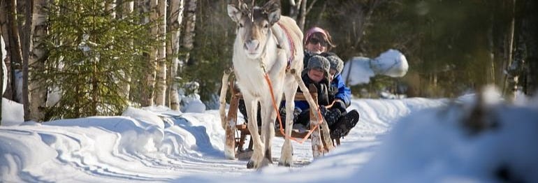 Reindeer Sleigh Ride