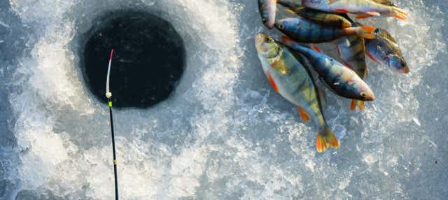 Pesca sul ghiaccio a Sirkka