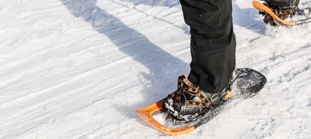 Passeggiata con racchette da neve