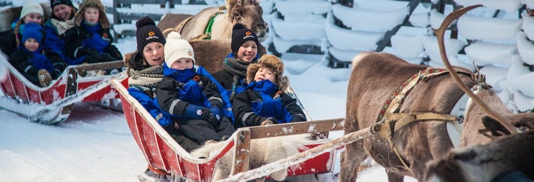 Ylläs Reindeer Sleigh Ride