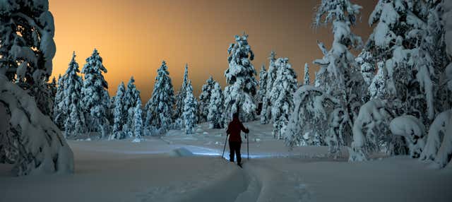 Tour dell'aurora boreale con racchette da neve