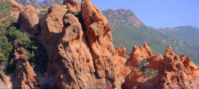 Escursione in barca a Scandola e Girolata