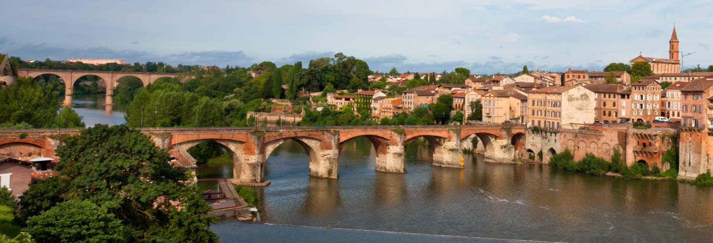 Albi Private Tour