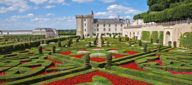 Tour dei castelli di Villandry e Azay-le-Rideau + Cantina della Loira