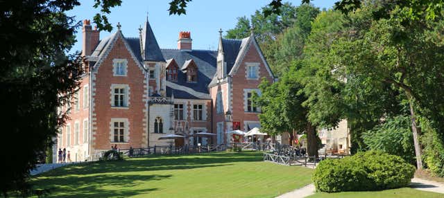 Biglietti per il Castello di Clos Lucé