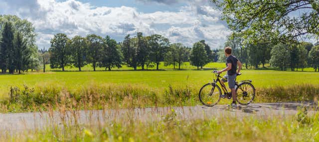 Tour dei castelli di Chambord e Villesavin in bici elettrica