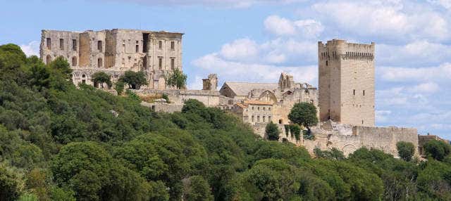 Biglietto per l'abbazia di Montmajour