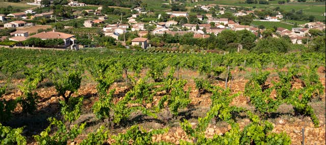 Escursione a Châteauneuf du Pape