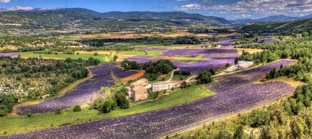 Tour della lavanda a Luberon