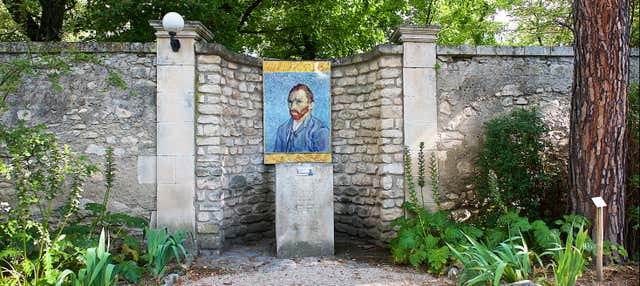 Tour di Van Gogh in Provenza