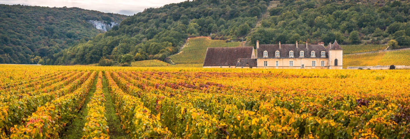 Burgundy Wine Tour