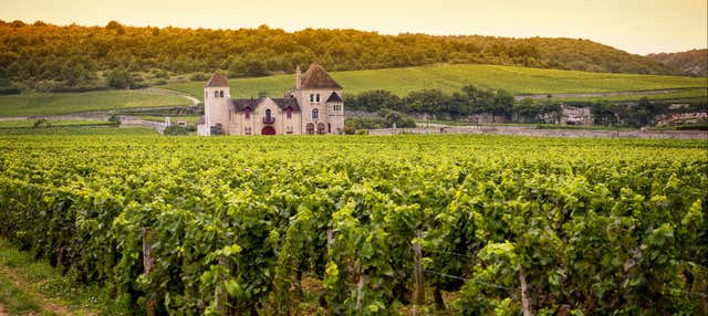 Tour dei vigneti di Bélesta in 4x4