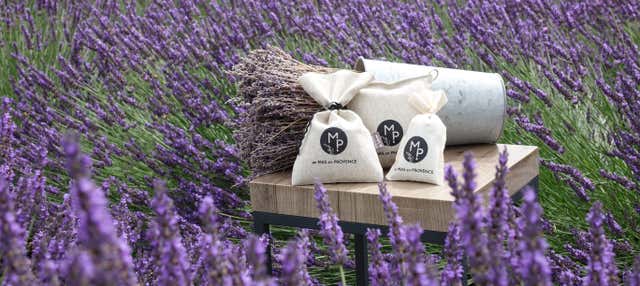 Visita alla masseria Un MAS en Provence