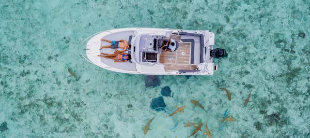 Noleggio di barca con skipper